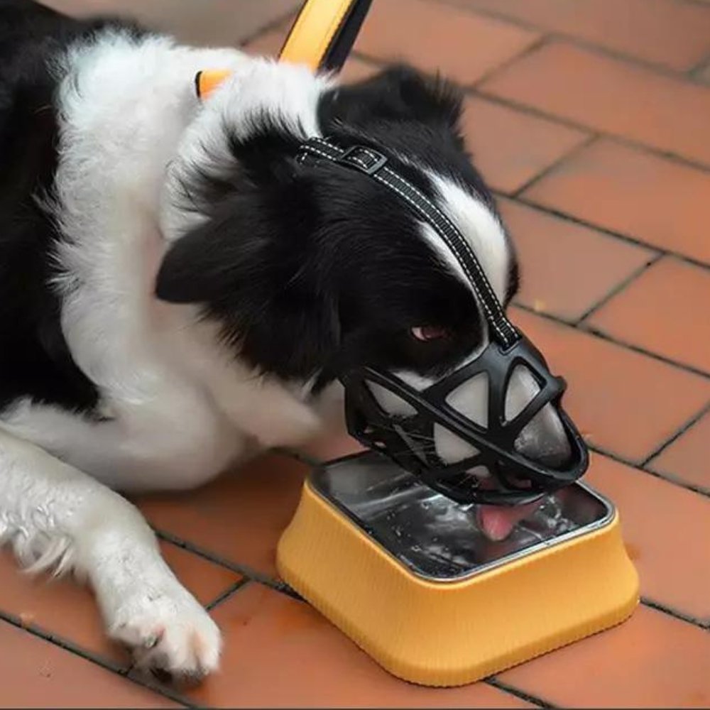Breathable Dog Muzzle — Bite & Bark Control