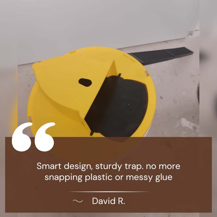 Multi-Catch Mouse Trap — Automatic Flip Reset Design