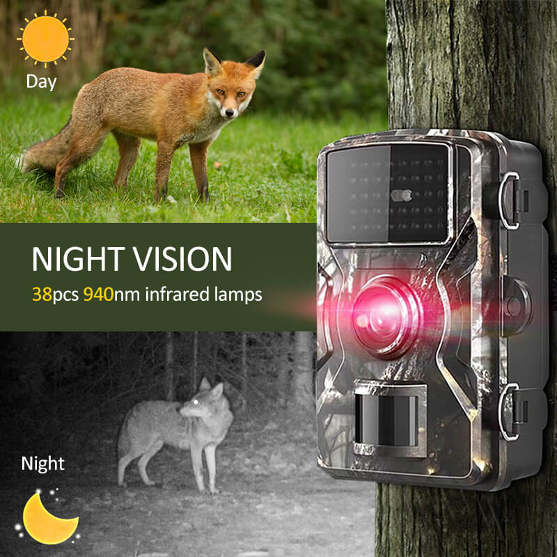 Wildlife Trail Camera — 1080p Night Vision
