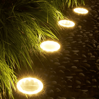 Stainless Steel Solar Garden Lights — Bright Outdoor Glow