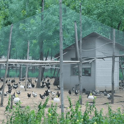 UV-Resistant Bird Netting for Fruit Trees