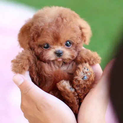 Interactive Plush Dog — Tail-Wagging Realistic Companion
