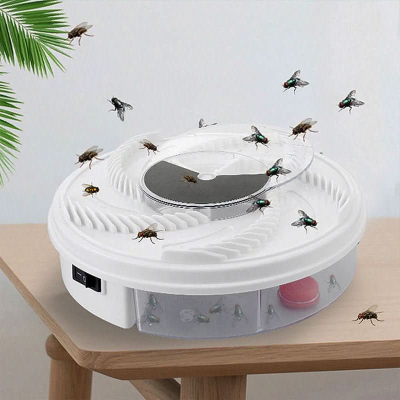 Eco Fly Trap — Silent Chemical-Free Insect Catcher