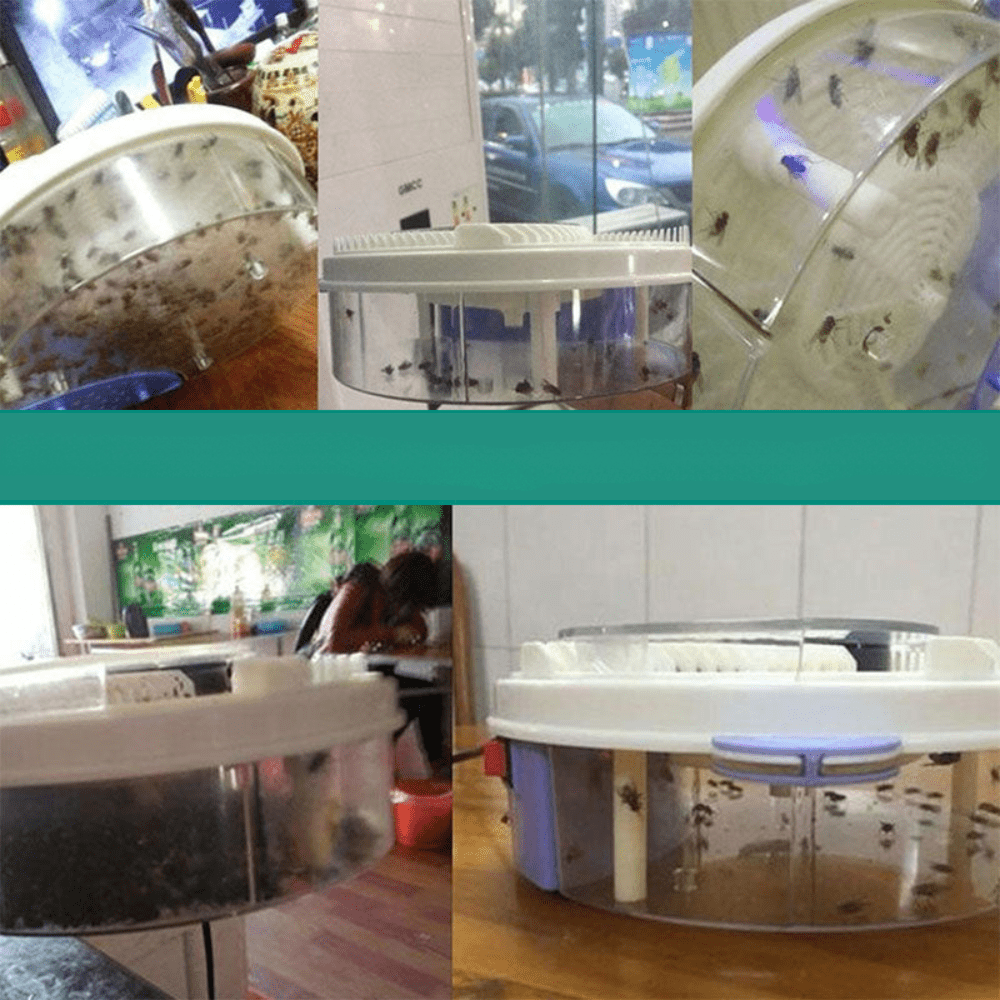 Eco Fly Trap — Silent Chemical-Free Insect Catcher