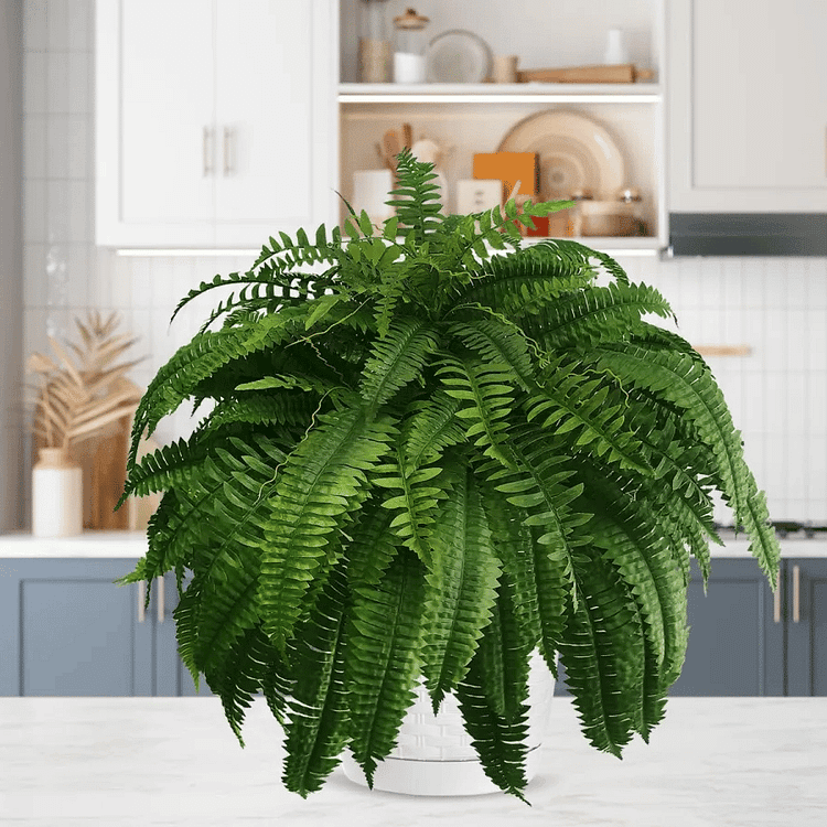 Artificial Boston Fern — UV-Resistant Faux Greenery