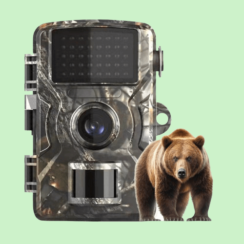 Wildlife Trail Camera — 1080p Night Vision