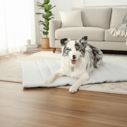 Self-Cooling Dog Mat — No Water or Electricity Needed
