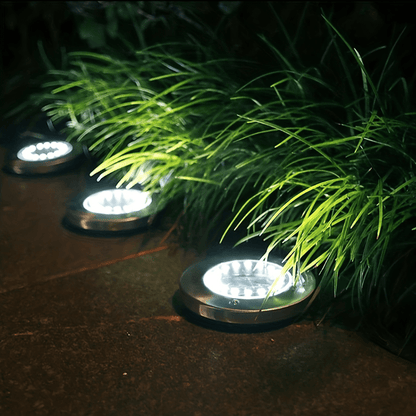 Stainless Steel Solar Garden Lights — Bright Outdoor Glow