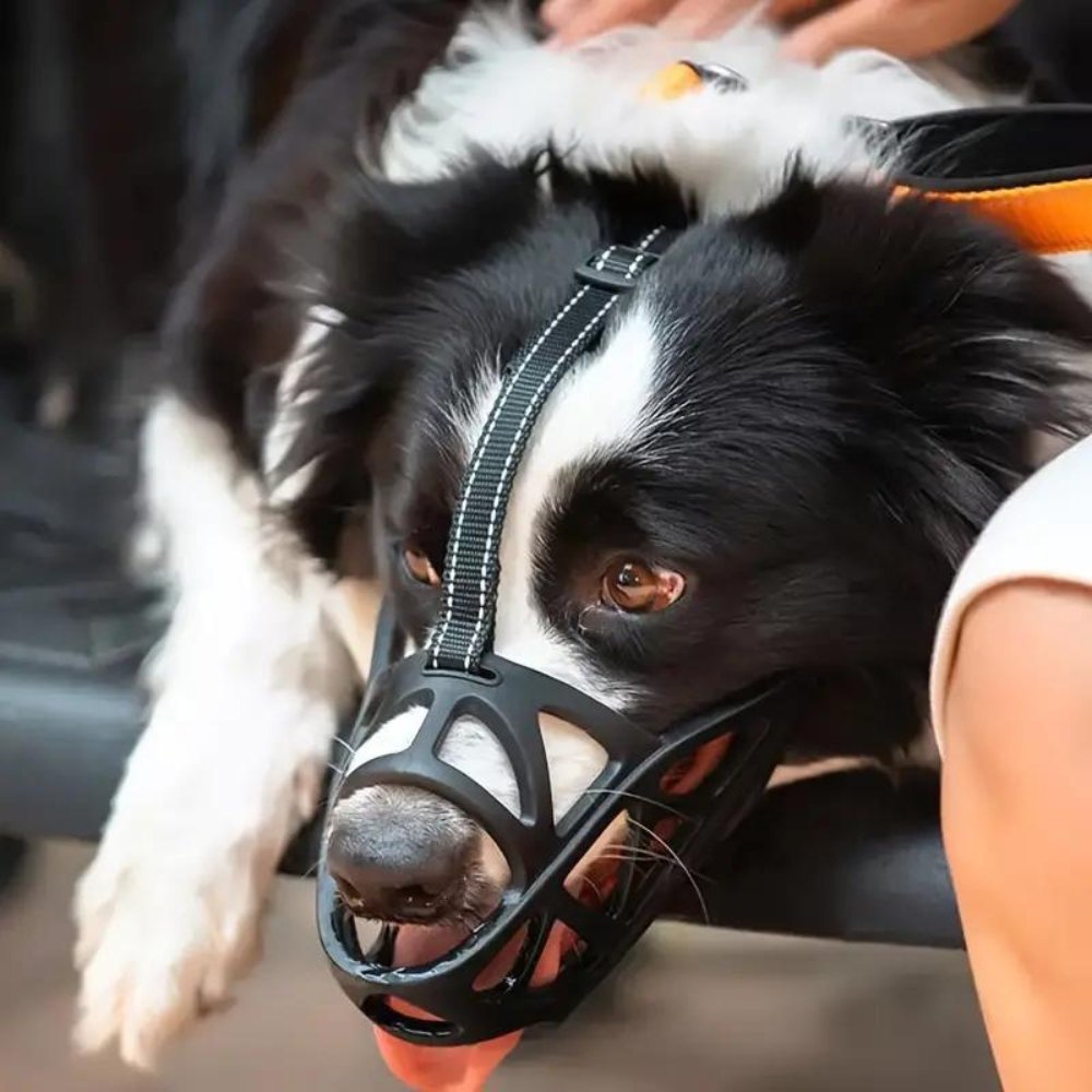 Breathable Dog Muzzle — Bite & Bark Control