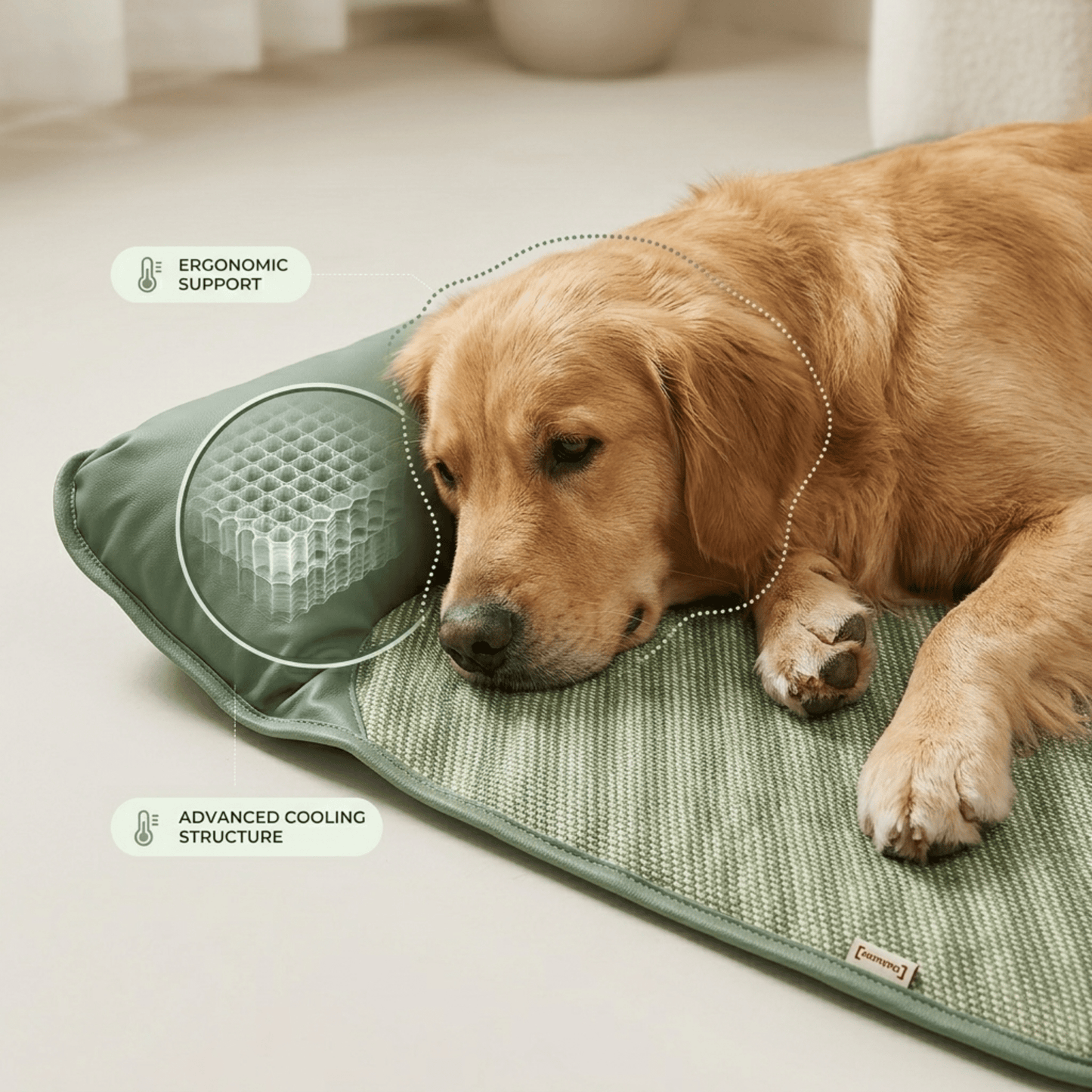 Breathable Pet Cooling Mat with Bolster — Dogs & Cats