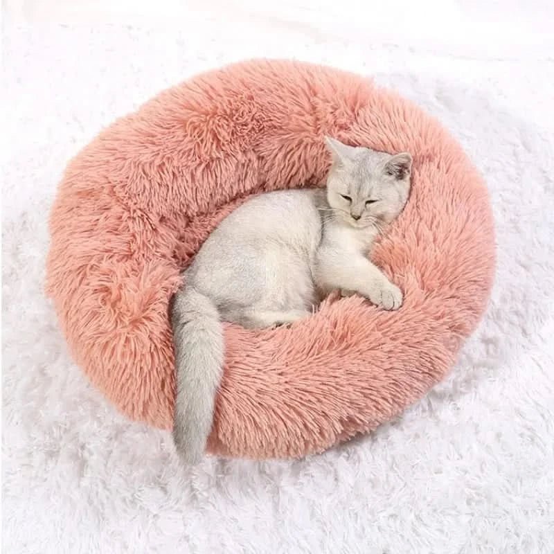 Calming Orthopedic Dog Bed — Washable Anti-Stress