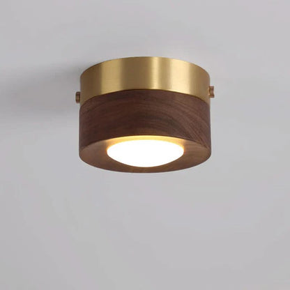 Modern Walnut Wood LED Ceiling Light