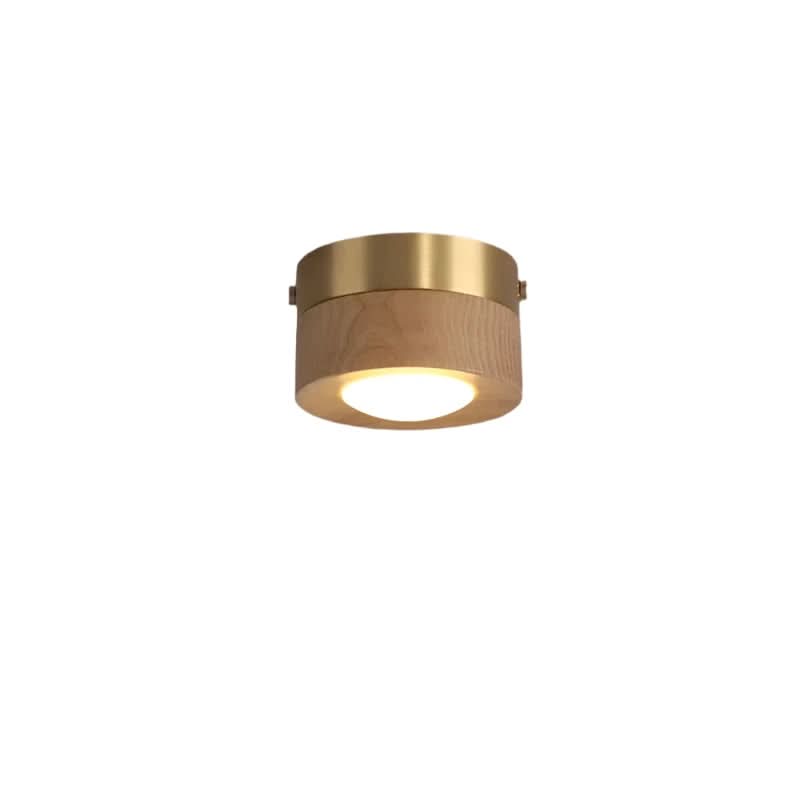 Modern Walnut Wood LED Ceiling Light