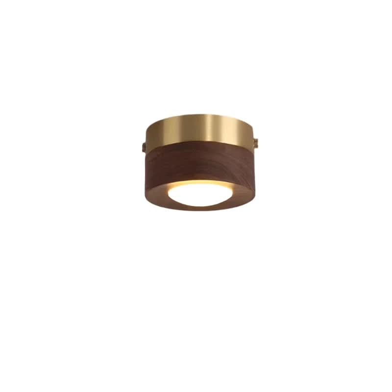 Modern Walnut Wood LED Ceiling Light