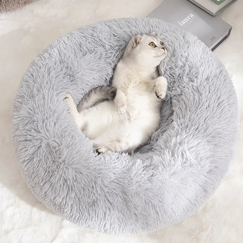 Calming Orthopedic Dog Bed — Washable Anti-Stress