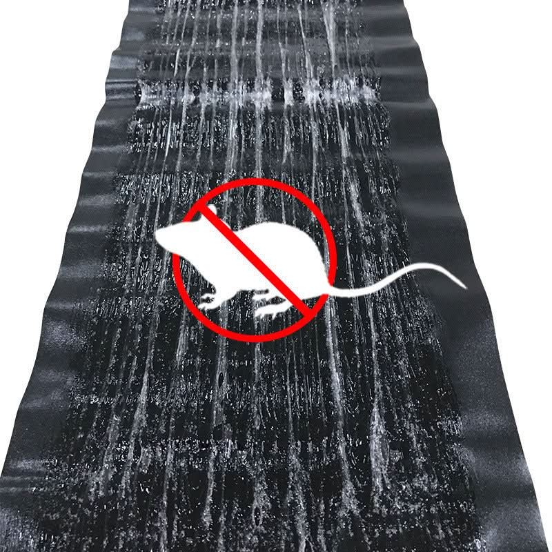 Sticky Mouse & Insect Trap — Non-Toxic, 10 Pack
