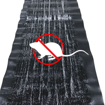 Sticky Mouse & Insect Trap — Non-Toxic, 10 Pack