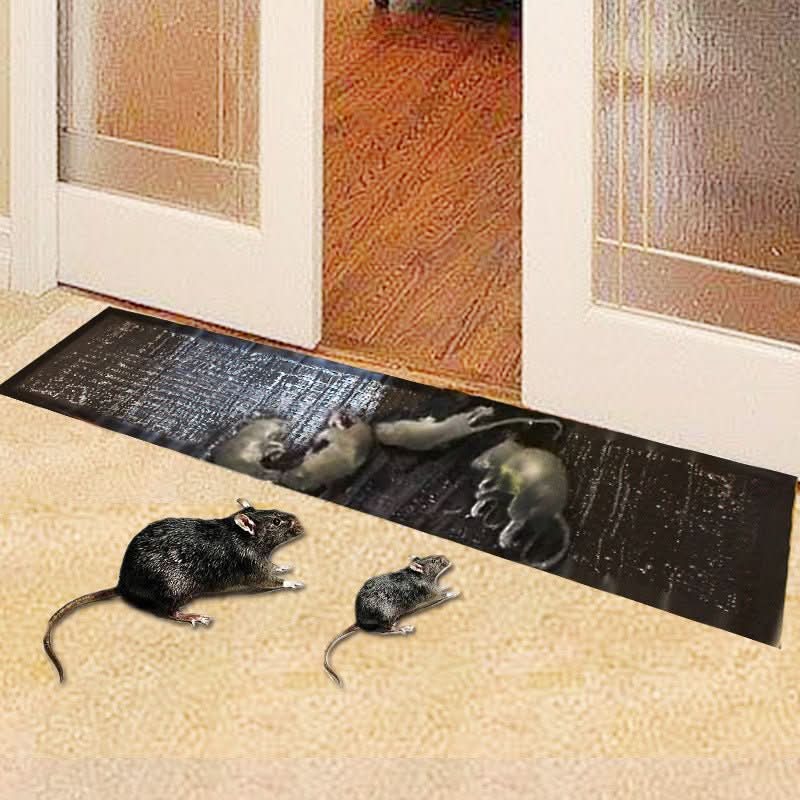 Sticky Mouse & Insect Trap — Non-Toxic, 10 Pack