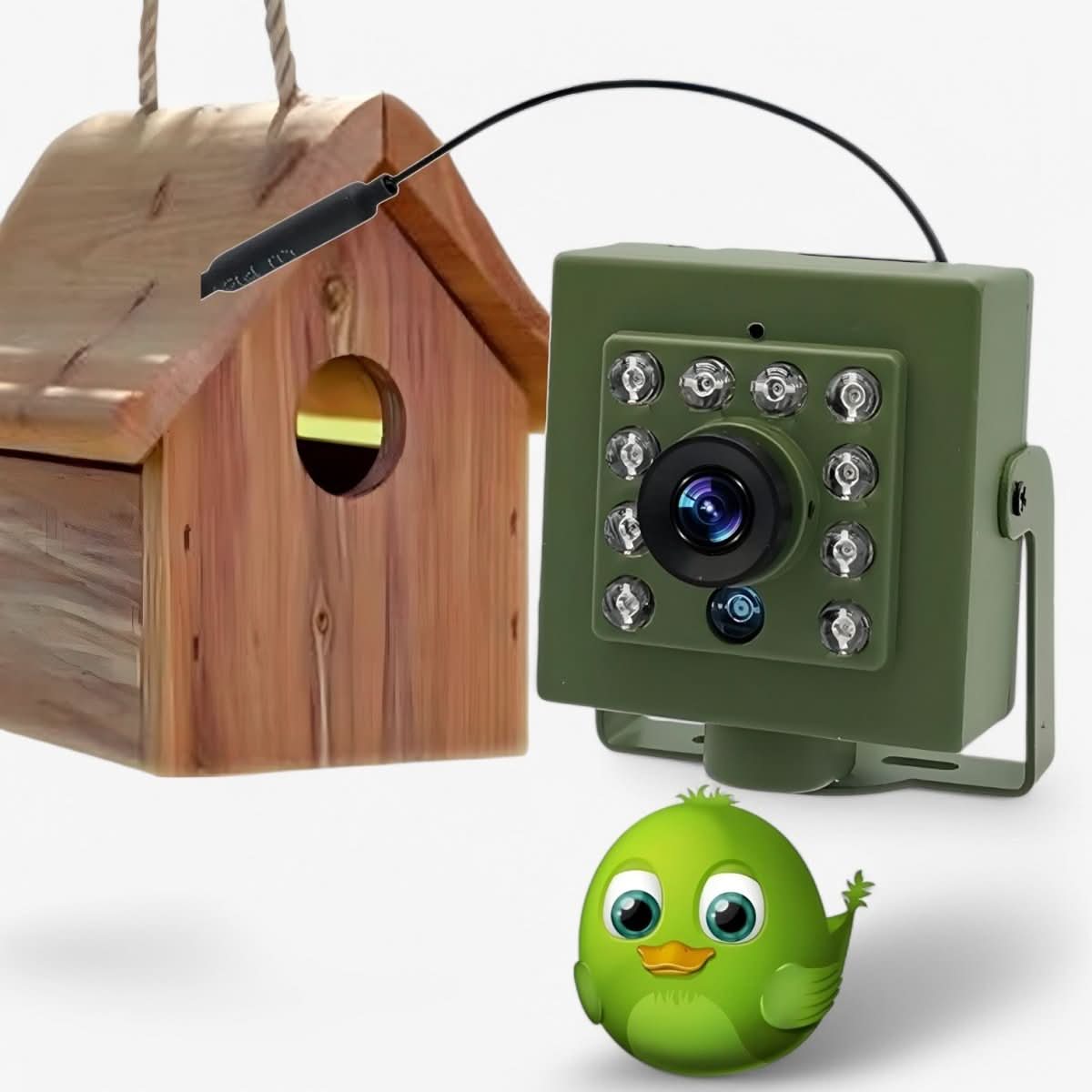 HD 1080p Bird Nest Camera — Night Vision & Motion
