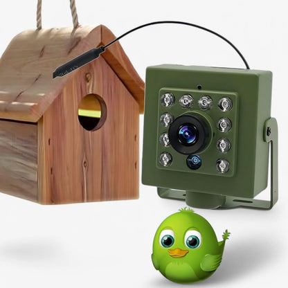 HD 1080p Bird Nest Camera — Night Vision & Motion