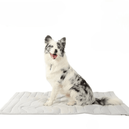Self-Cooling Dog Mat — No Water or Electricity Needed