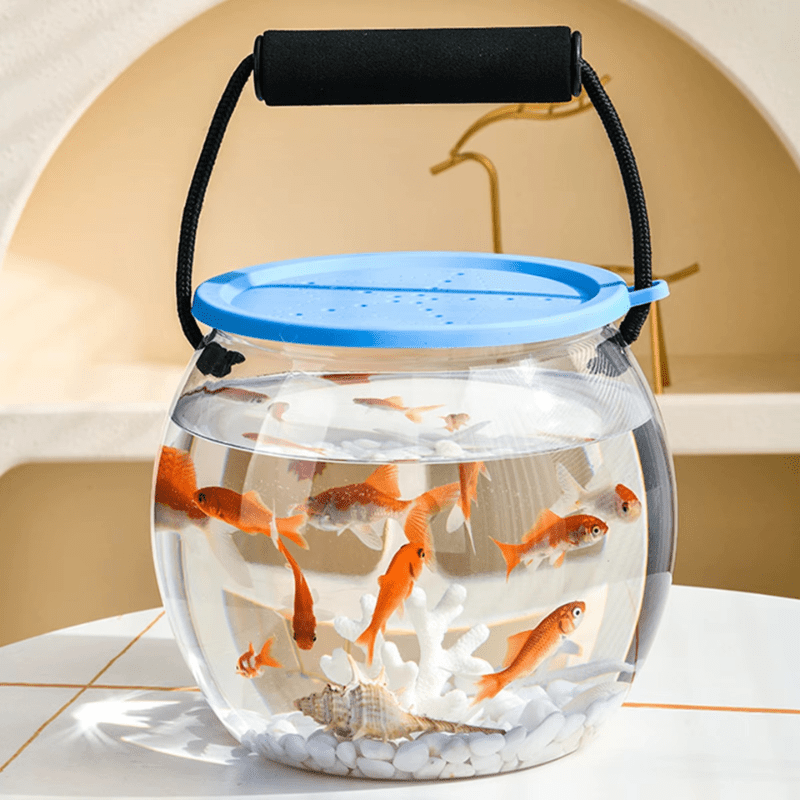 Portable Clear Aquarium — Observe Fish & Plants