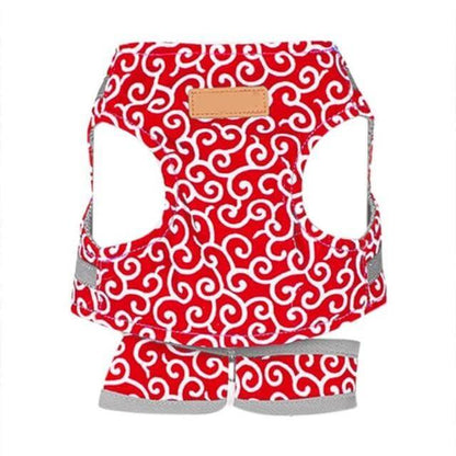 Cat Vest Harness With Adjustable Leash for Safe Walks
