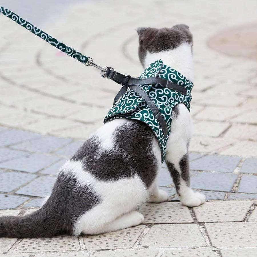 Cat Vest Harness With Adjustable Leash for Safe Walks