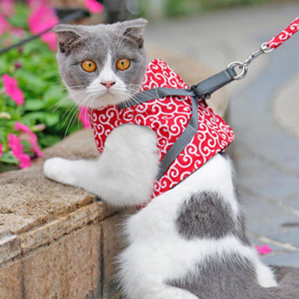 Cat Vest Harness With Adjustable Leash for Safe Walks