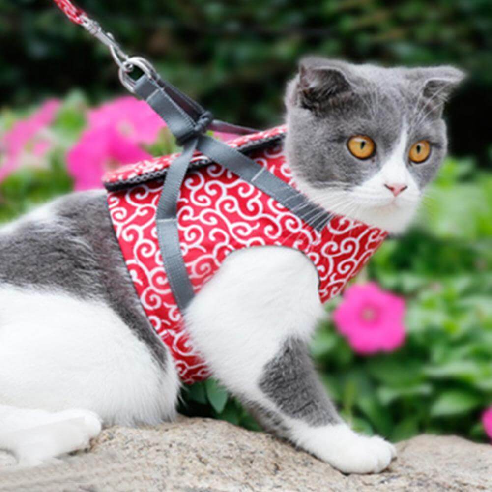 Cat Vest Harness With Adjustable Leash for Safe Walks