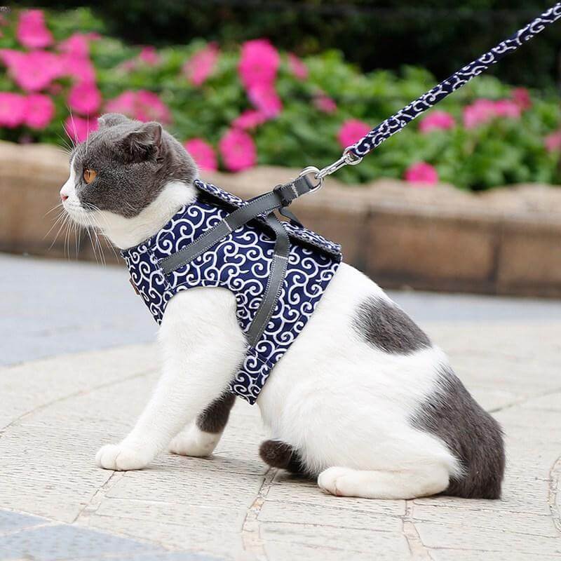 Cat Vest Harness With Adjustable Leash for Safe Walks