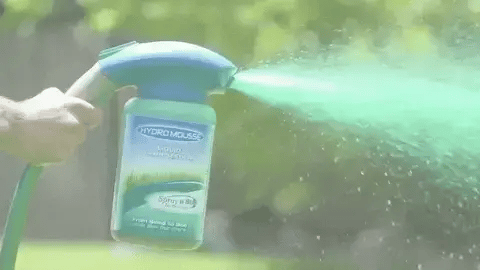 Liquid Lawn Spray Grass Seed Kit — Easy Patch Repair
