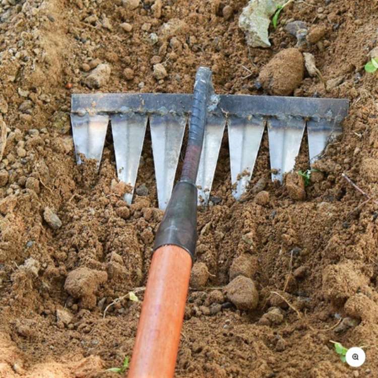 Steel Weeding Rake — Pulls Weeds Out by the Root
