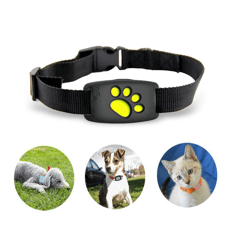 GPS Collar Tracker for Dogs and Cats — IP67