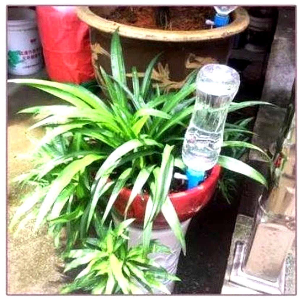 Automatic Plant Watering Spikes — Set of 12