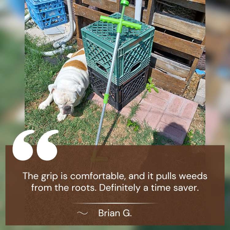 Manual Garden Weed Puller — Removes Roots Effortlessly