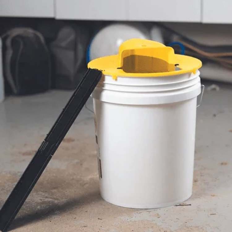 Multi-Catch Mouse Trap — Automatic Flip Reset Design