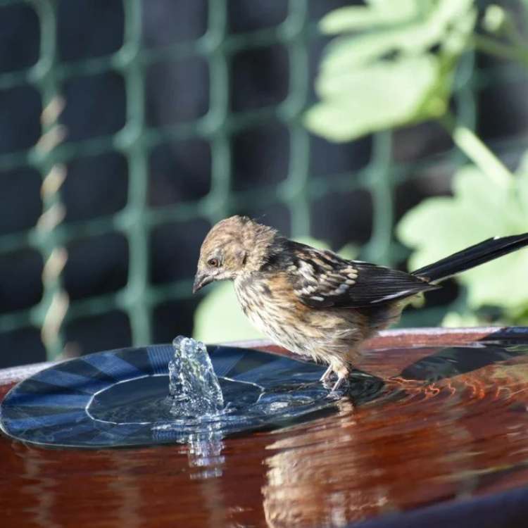 Floating Solar Fountain — Pond & Garden Water Pump