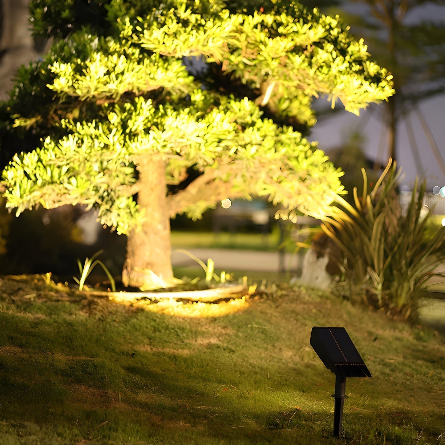 Solar LED Garden Spotlight — Adjustable Head & RGB
