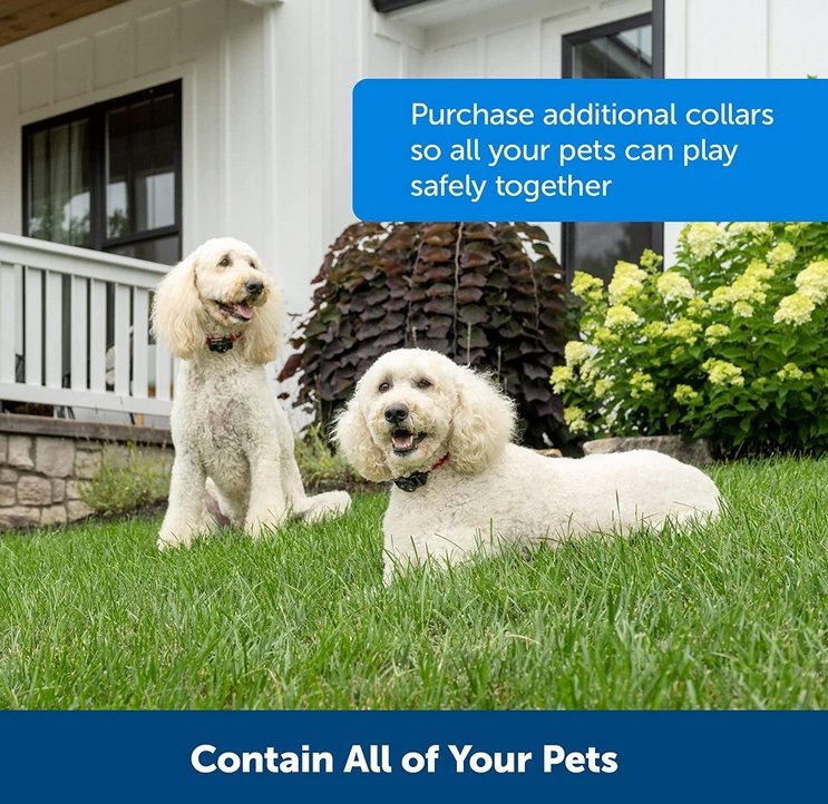 Wireless Dog Fence With Adjustable Training Collar